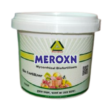 MEROXN